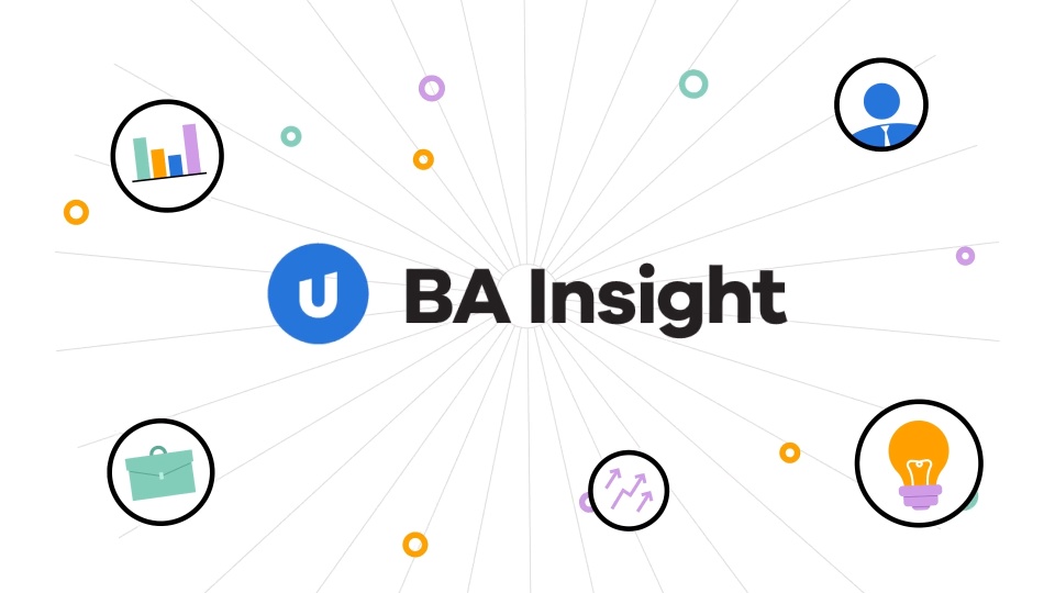 screenshot of BA Insight